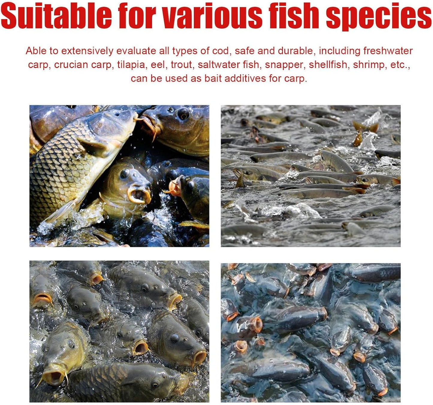 Fish Attractant Concentrated Fishing Bait